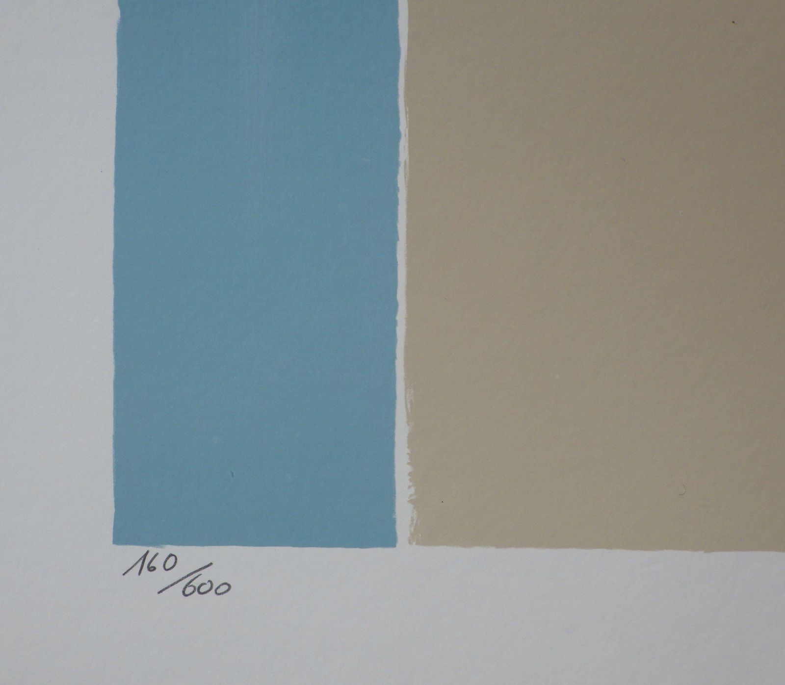 Serge Lassusflowers   The White Bouquet   Original Lithograph, Handsigned & Ltd /6001982 photo Art