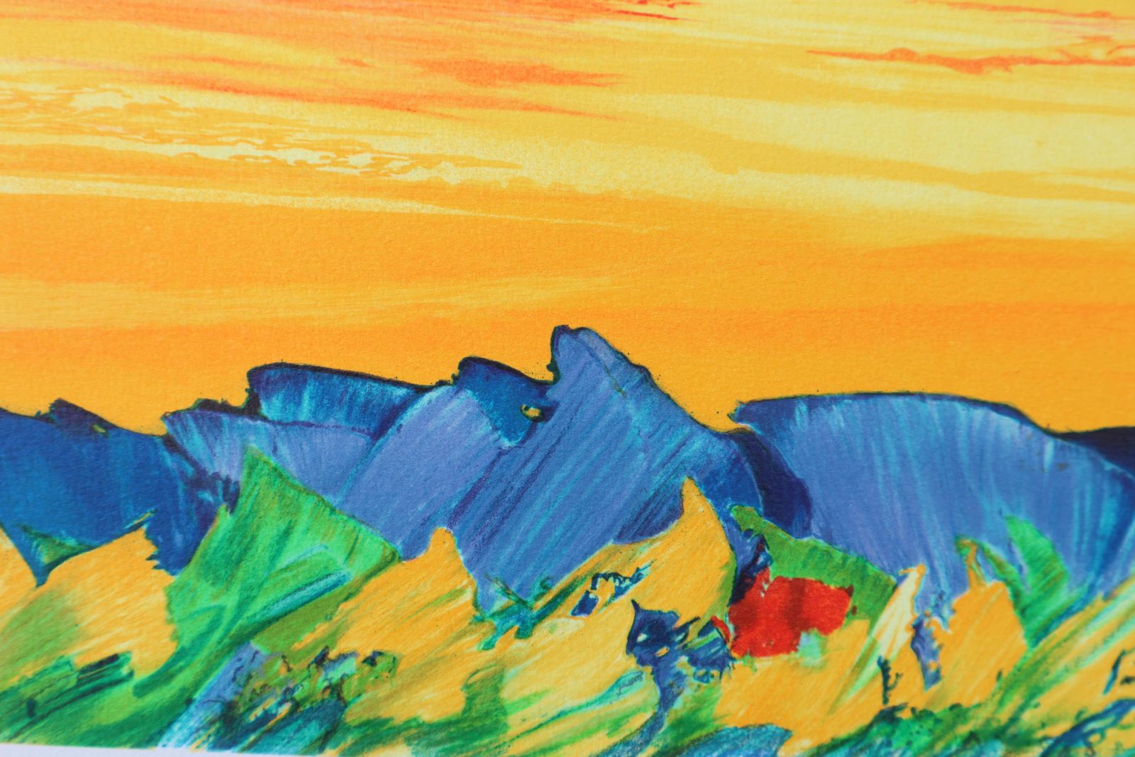 Art Serge Fenechprovencal Landscape   Original Lithograph, Handsigned & Ltd /2901982 photo