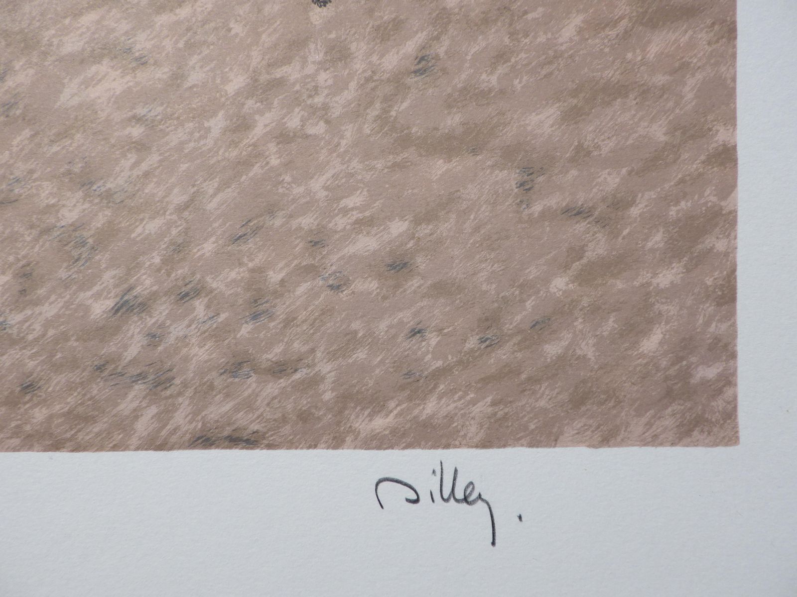 Ramon Dilleydeauville : Twenties Elegant    Original Lithograph, Handsigned & Ltd /2501982 photo for sale