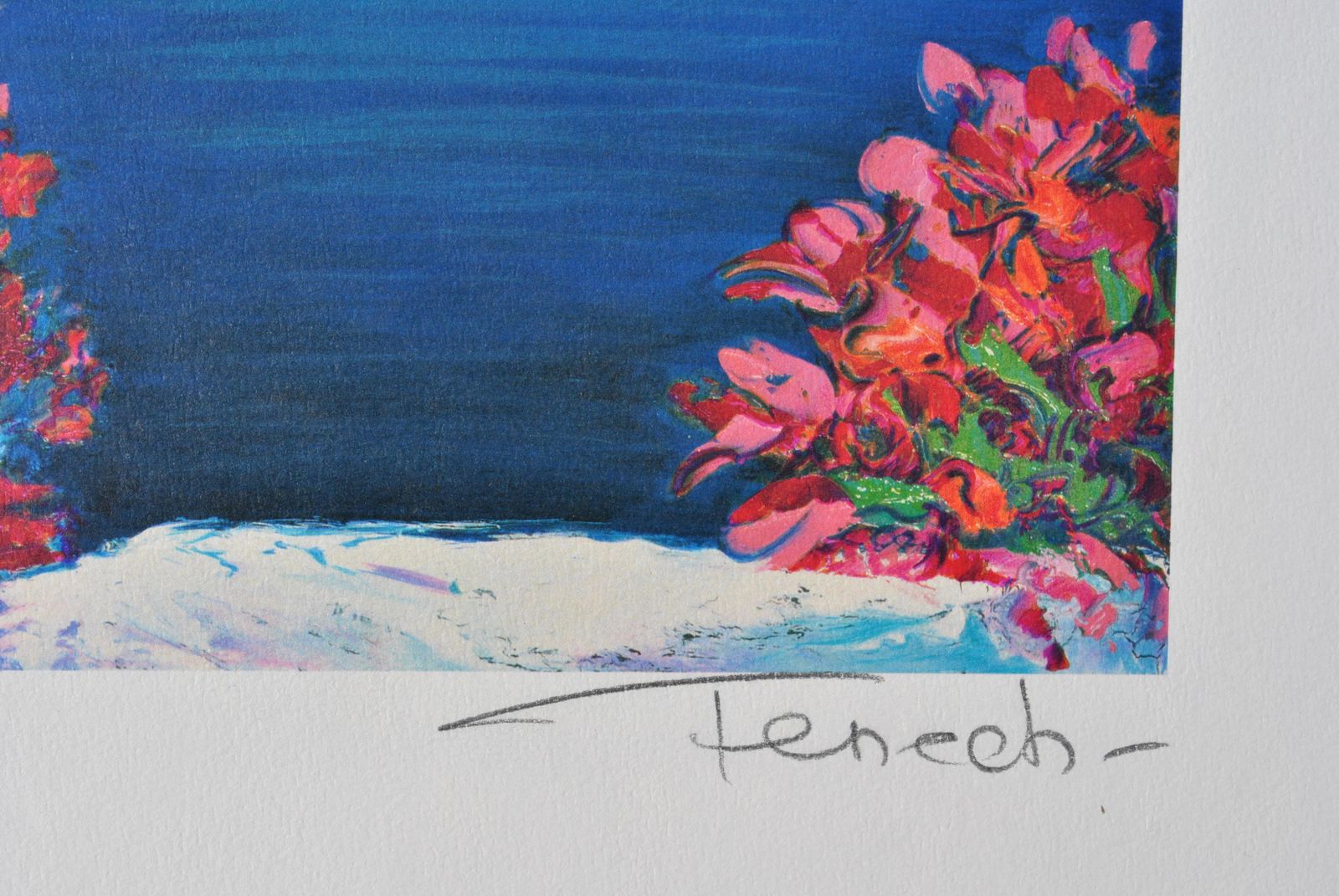 Serge Fenechriviera : Flowers At Santorini   Original Lithograph, Handsigned & Ltd /3901982 photo for sale