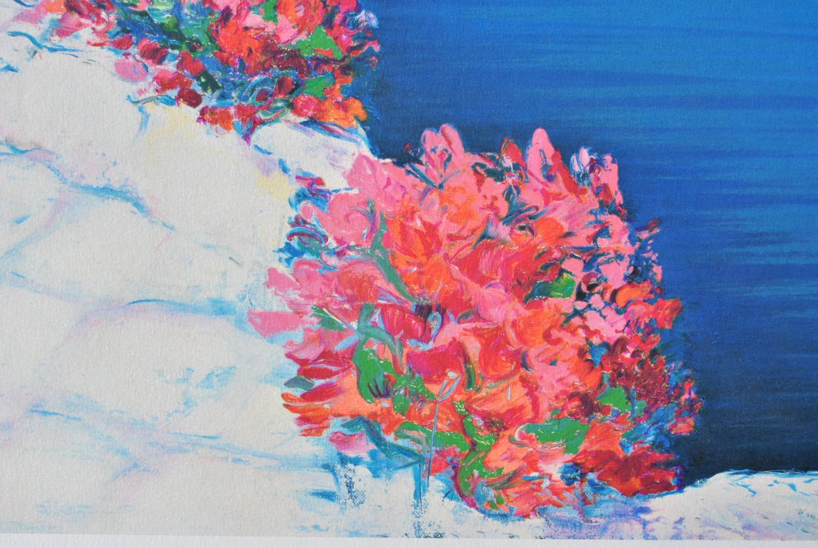 Serge Fenechriviera : Flowers At Santorini   Original Lithograph, Handsigned & Ltd /3901982 photo 130.0