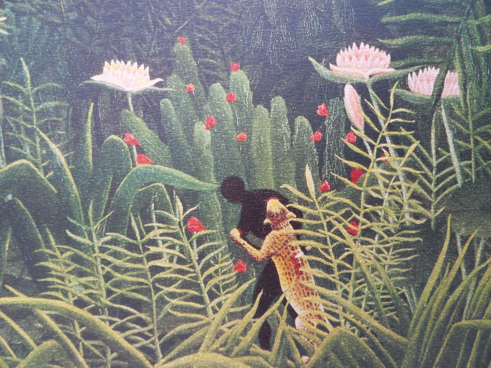 Virgin Forest With Sunset   Lithograph   Limited /300ex1976 photo Art