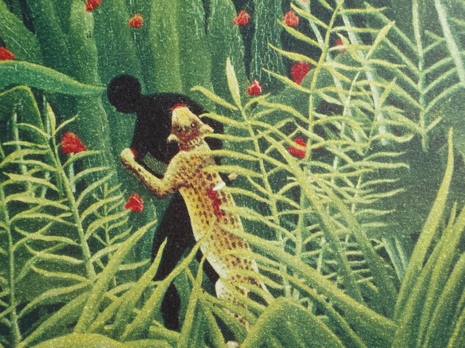Virgin Forest With Sunset   Lithograph   Limited /300ex1976 photo buy