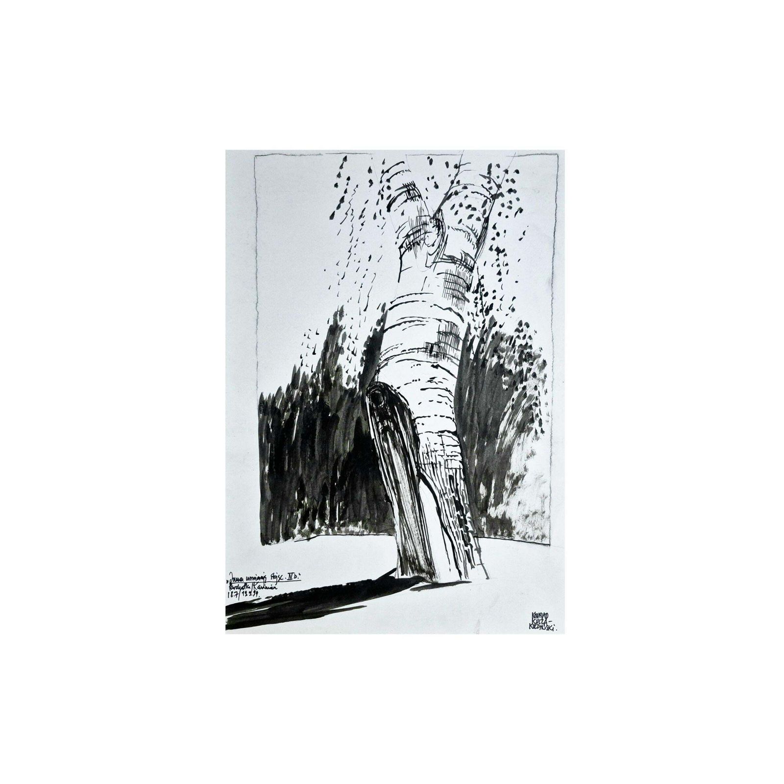 Konrad Kucza Kuczynskitrees  Trees Die Standing, Ink On Paper, Polish Artist, Black And White1999 photo furniture