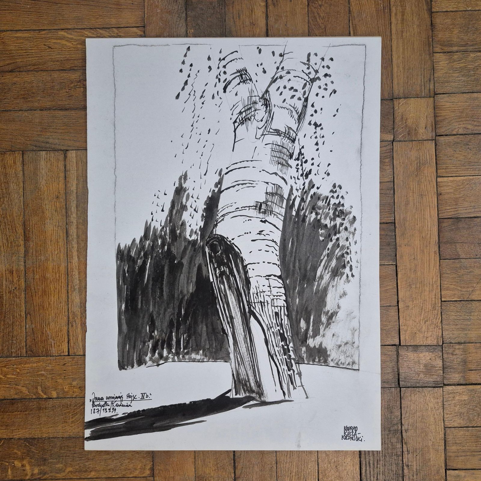 Konrad Kucza Kuczynskitrees  Trees Die Standing, Ink On Paper, Polish Artist, Black And White1999 photo vinterior