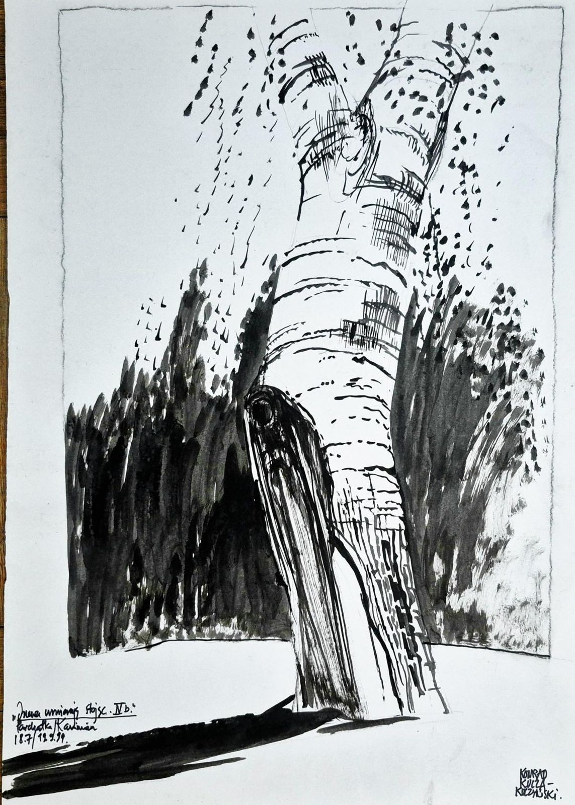 Konrad Kucza Kuczynskitrees  Trees Die Standing, Ink On Paper, Polish Artist, Black And White1999 photo buy