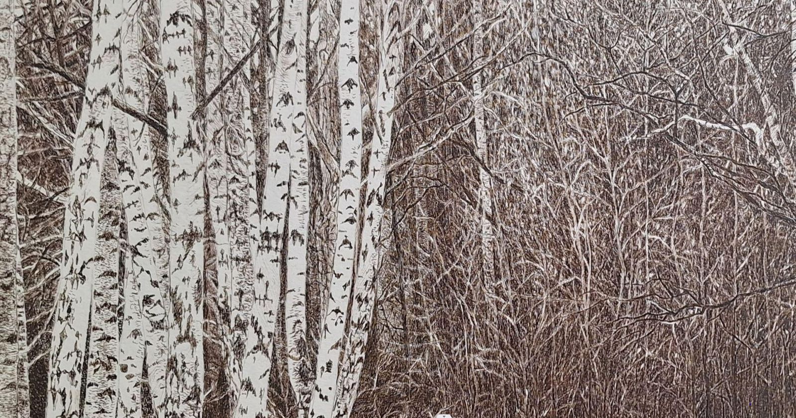 Elżbieta Siegoczyńskakabacki Forest. Figurative Drawing, Landscape, Realistic, Polish Artist2025 photo furniture