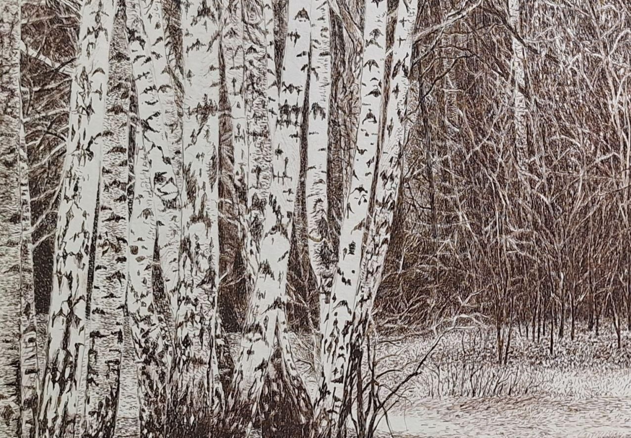 Elżbieta Siegoczyńskakabacki Forest. Figurative Drawing, Landscape, Realistic, Polish Artist2025 photo Art