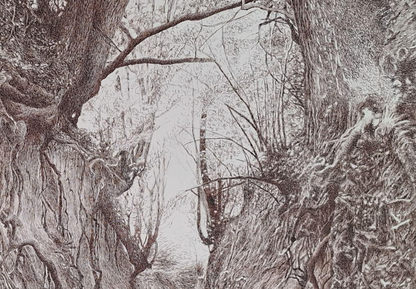 Elżbieta Siegoczyńskawąwóz Korzeniowy. Figurative Drawing, Landscape, Realistic, Polish Artist2025 photo for sale