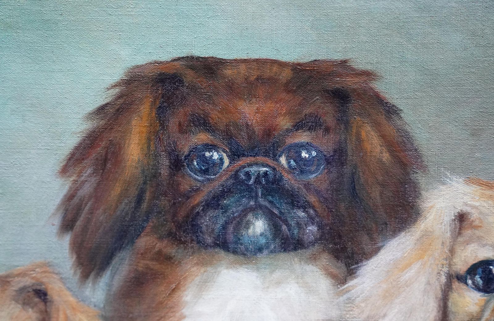 Hilda Annetta Walkerportrait Of Three Pedigree Pekingese Dogs   British 1930's Art Oil Painting1934 photo 4078.0