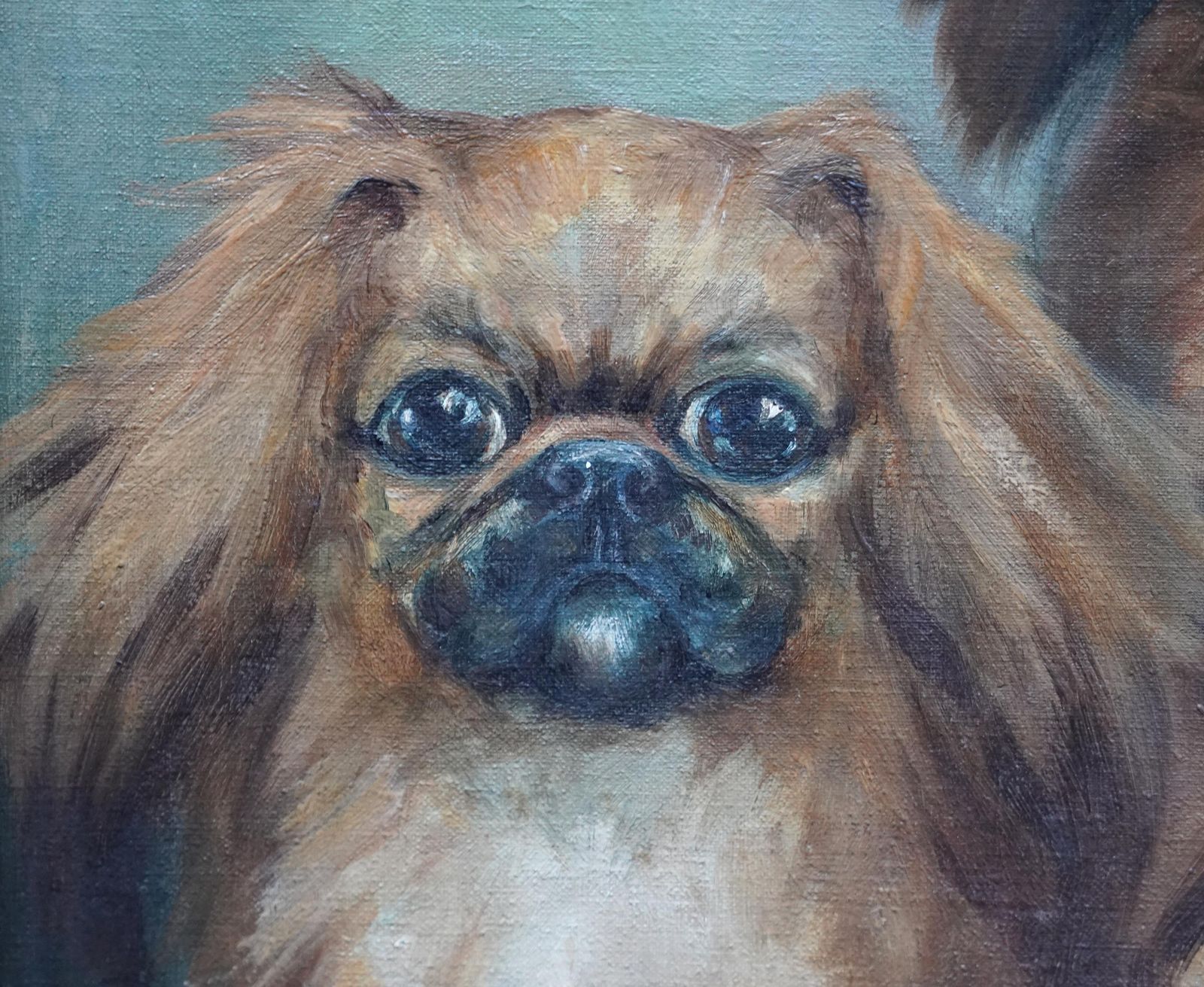 Hilda Annetta Walkerportrait Of Three Pedigree Pekingese Dogs   British 1930's Art Oil Painting1934 photo vinterior