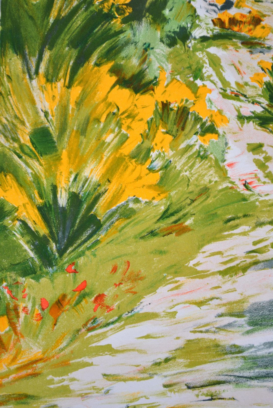 Victor Zarouthe Small Path In Provence   Original Lithograph, Handsigned & Ltd /1501982 photo buy