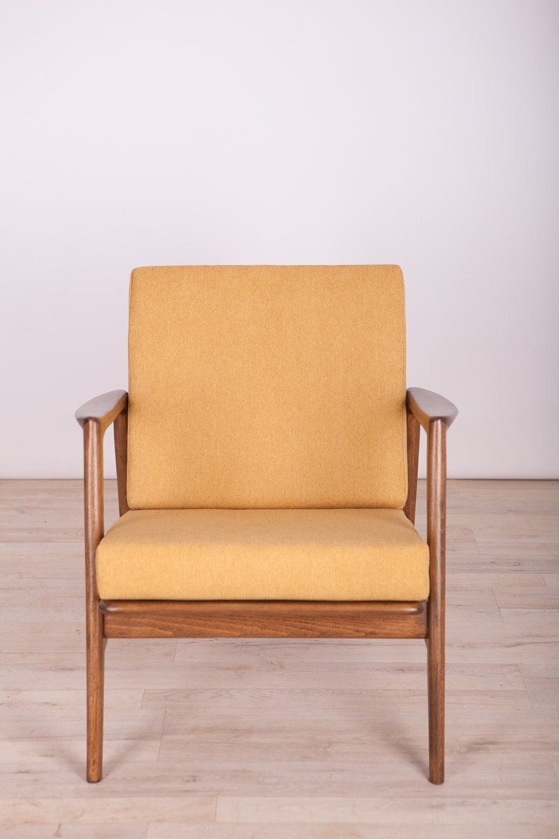 Set Of 300 139 Armchairs From Swarzędzka Factory, 1960s photo Furniture
