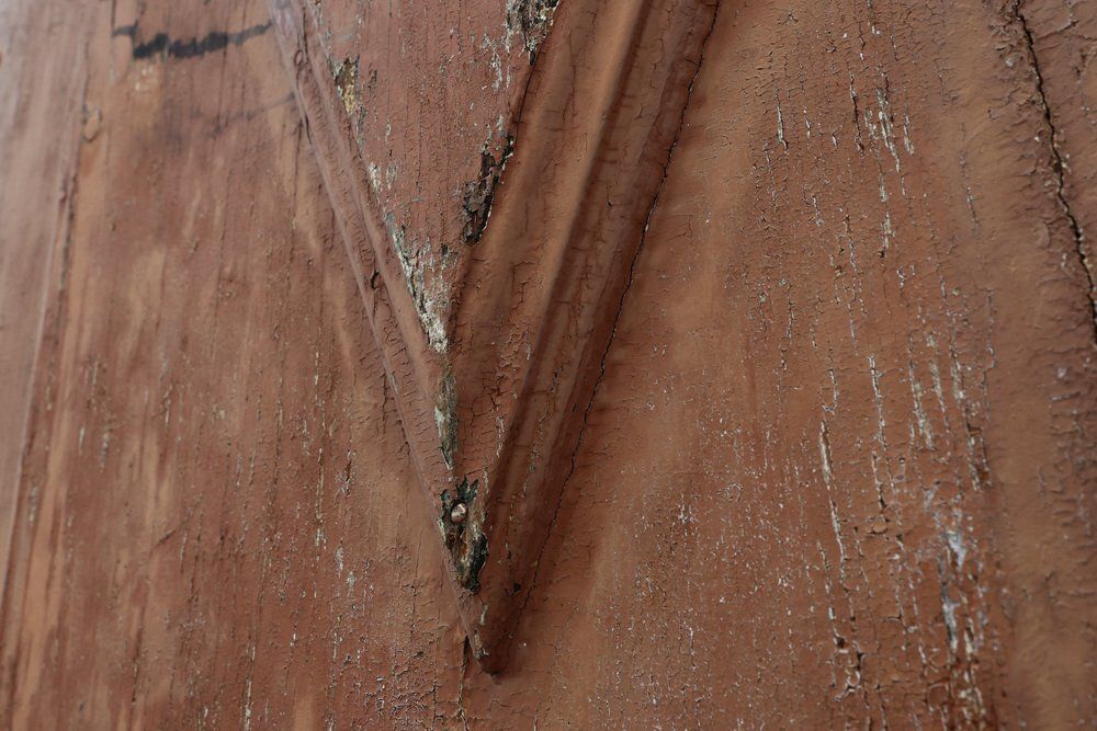 5723.0 Large 17th Century Terracotta Lacquered Oak Monastery Doors, Portugal, Set Of 2 photo