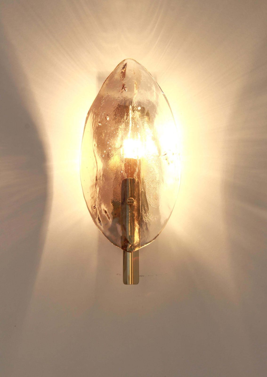 1 Of 5 Glass Sconces Wall Lights By Carlo Nason For Kalmar Ficus, Austria, 1970s photo Lighting
