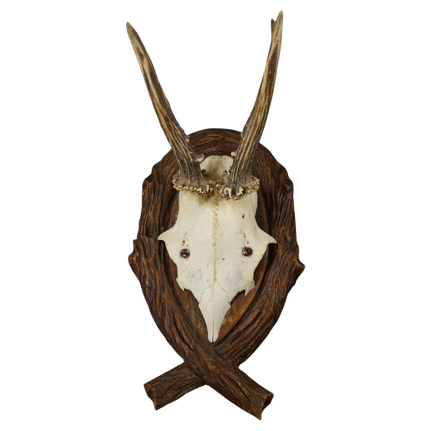 Antique Deer Trophy On Carved Plaque, Germany 1942