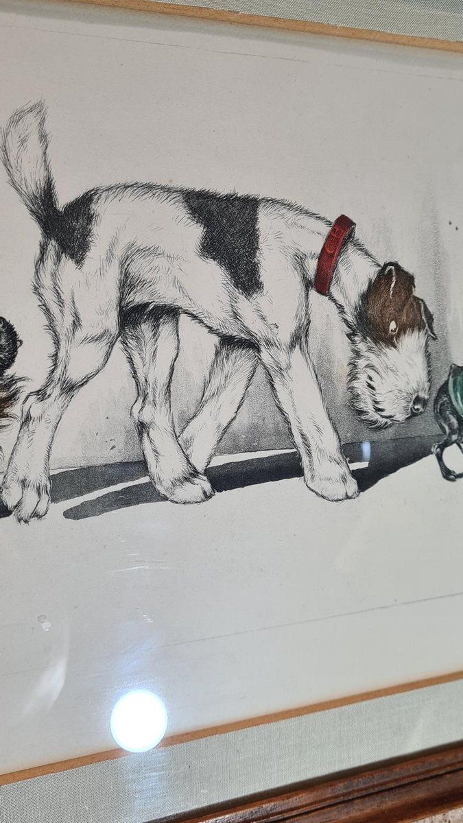 568.0 Boris O Klein, Dogs, 1960s, Wood & Paper photo