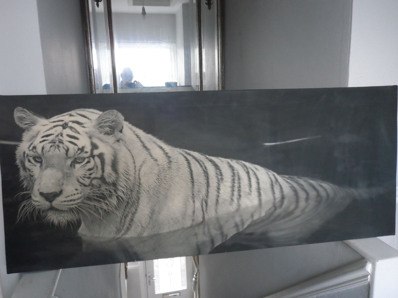 Black And White Wall Art Of White Tiger   Large 120cm X 50cm photo for sale