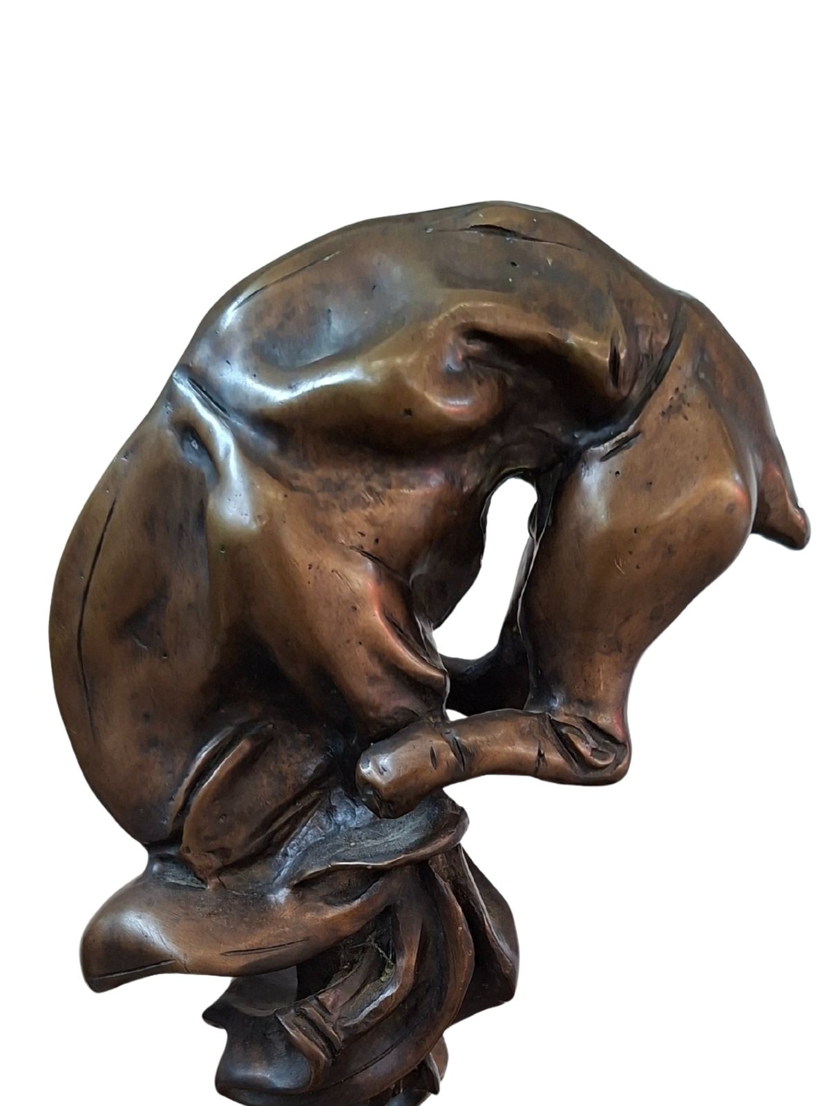 Scultura In Bronzo: "Cavallo In Torsione"   Camillo Catelli photo buy