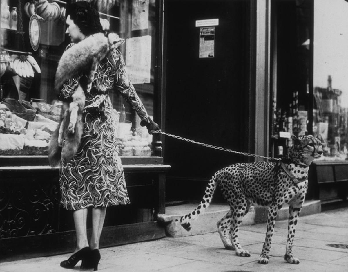 Unknown Cheetah Who Shops   Bond Street Shopping Black And White Photograph
