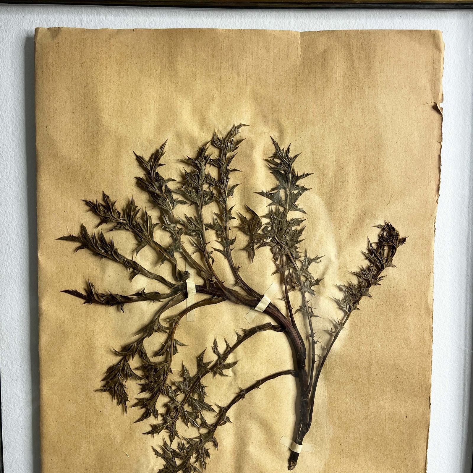 Antique French Herbiere Original In Nkuku Frame photo furniture
