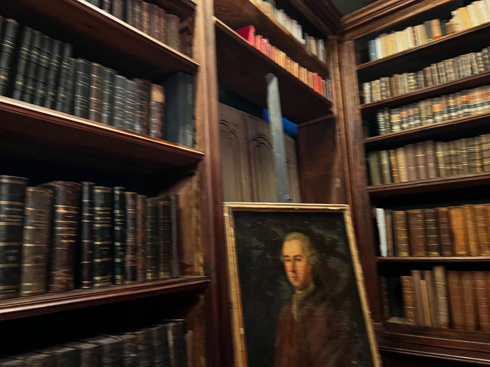 Furniture Huge Library Complete With Doors And Arranged On Four Sides Made Of Poplar, Italy photo