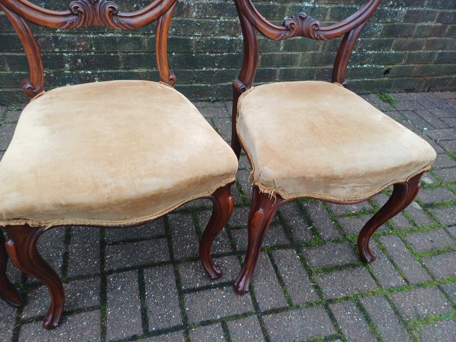 Set Of Four Antique Victorian Mahogany Balloon Back Dining Chairs High Quality Frames Vintage Original Velvet Upholstery photo for sale