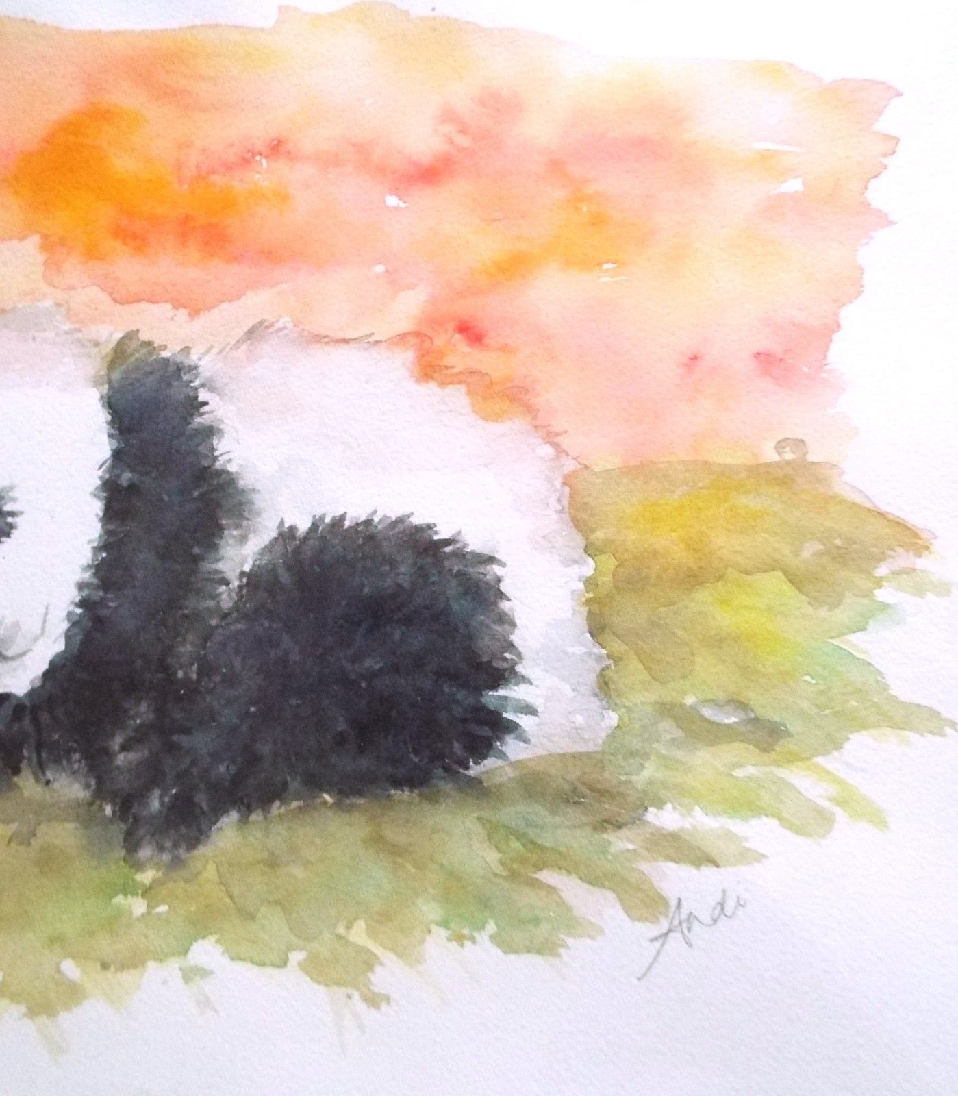 Sleeping Panda Sunset Illustration Original Watercolour Painting Andi J Lucas photo 116.0