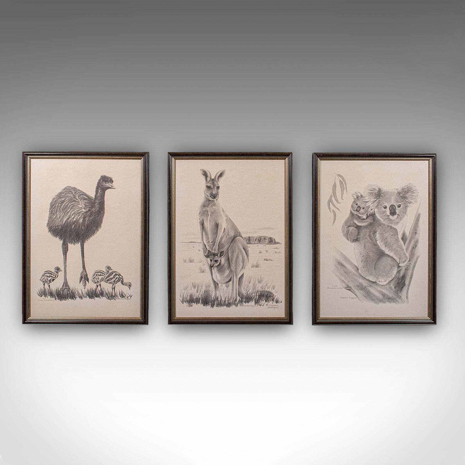 Vintage Wildlife Picture Trio, Australian Interest, Framed Prints, Animal Art photo furniture