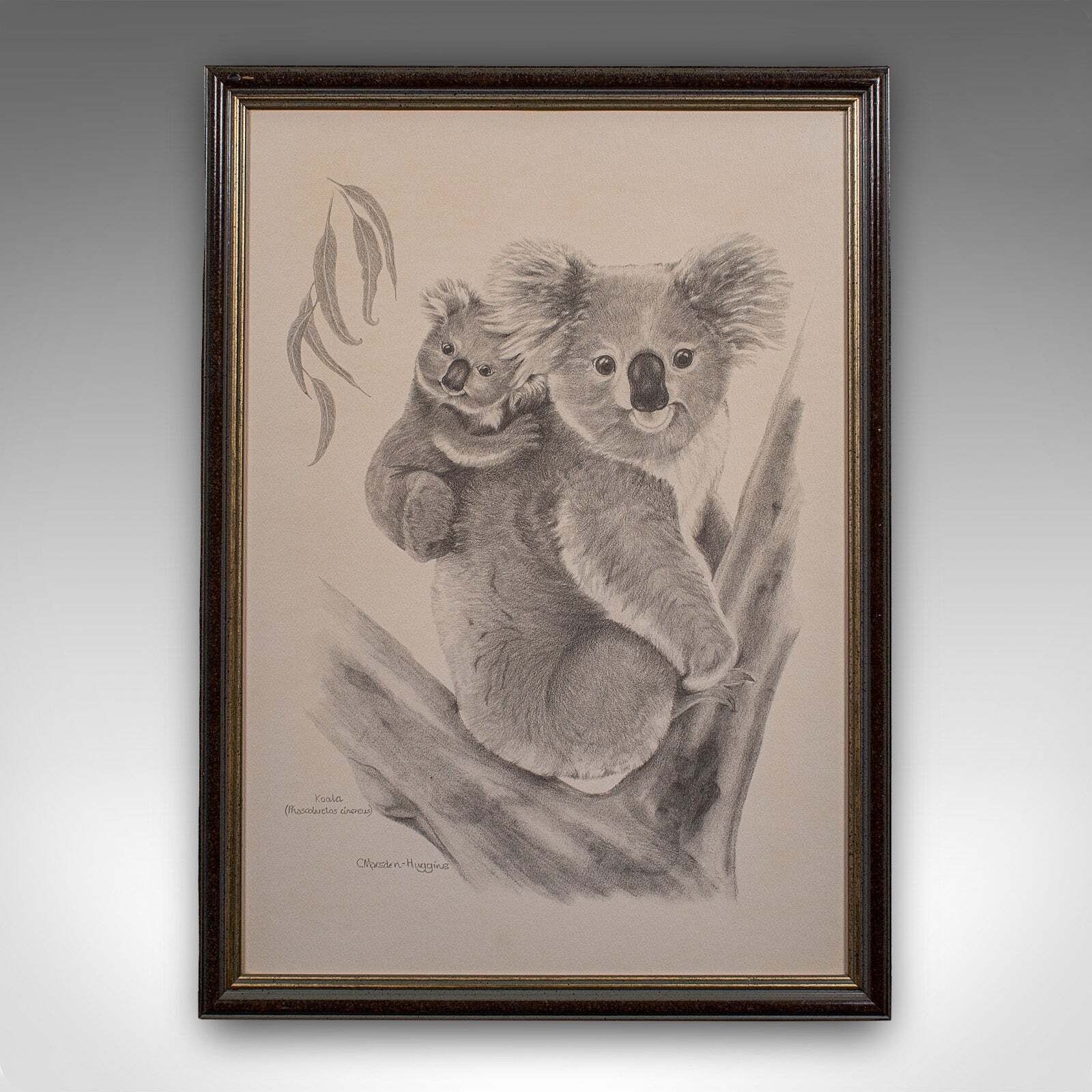 Vintage Wildlife Picture Trio, Australian Interest, Framed Prints, Animal Art photo vinterior