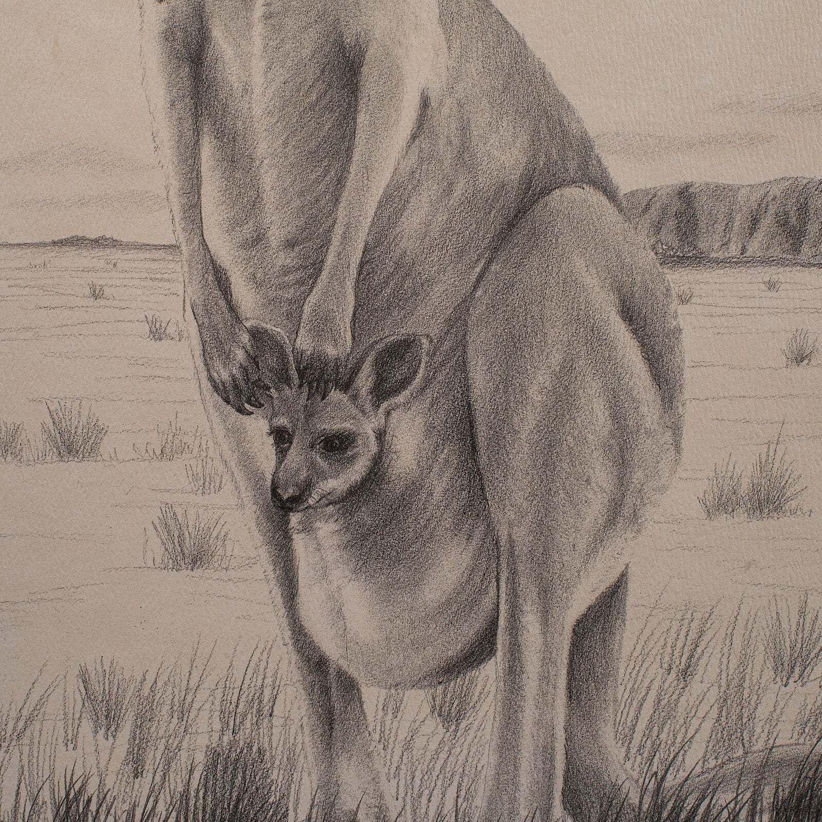 Art Vintage Wildlife Picture Trio, Australian Interest, Framed Prints, Animal Art photo