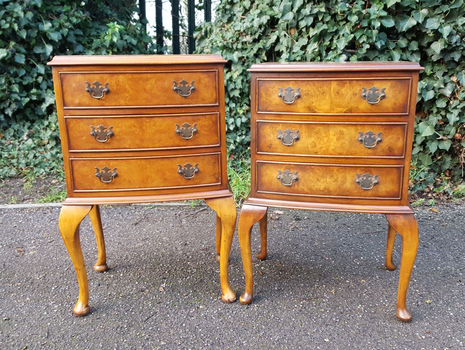 Near Pair Of Burr Walnut Bedside Chests photo Furniture