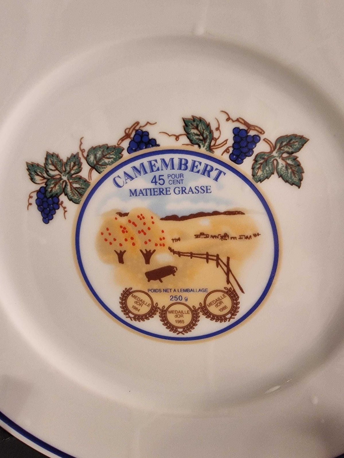 Assiettes à fromage vintage en porcelaine française, service de table, années 1970 photo 108.75
