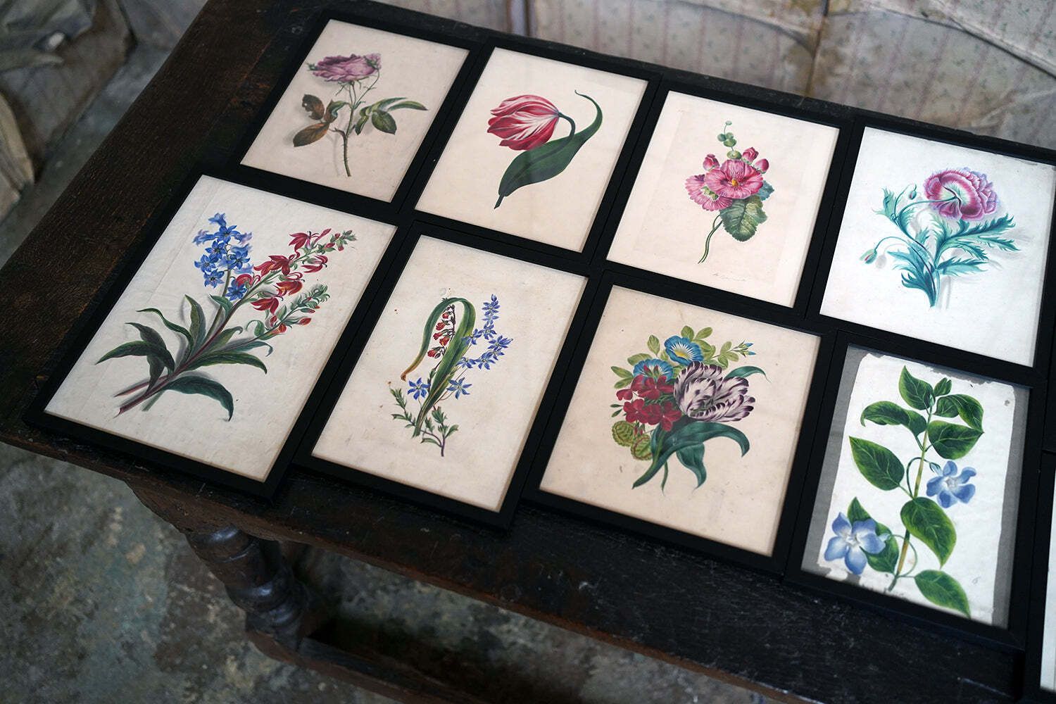 A Group Of Twelve Framed Late 19thc Botanical Watercolours C.1900 photo vinterior
