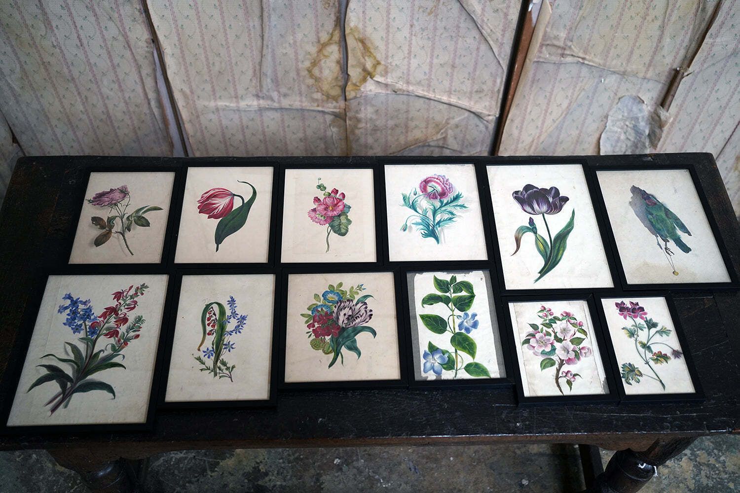 A Group Of Twelve Framed Late 19thc Botanical Watercolours C.1900 photo vintage