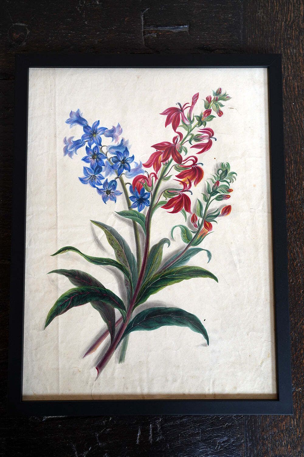 2200.0 A Group Of Twelve Framed Late 19thc Botanical Watercolours C.1900 photo