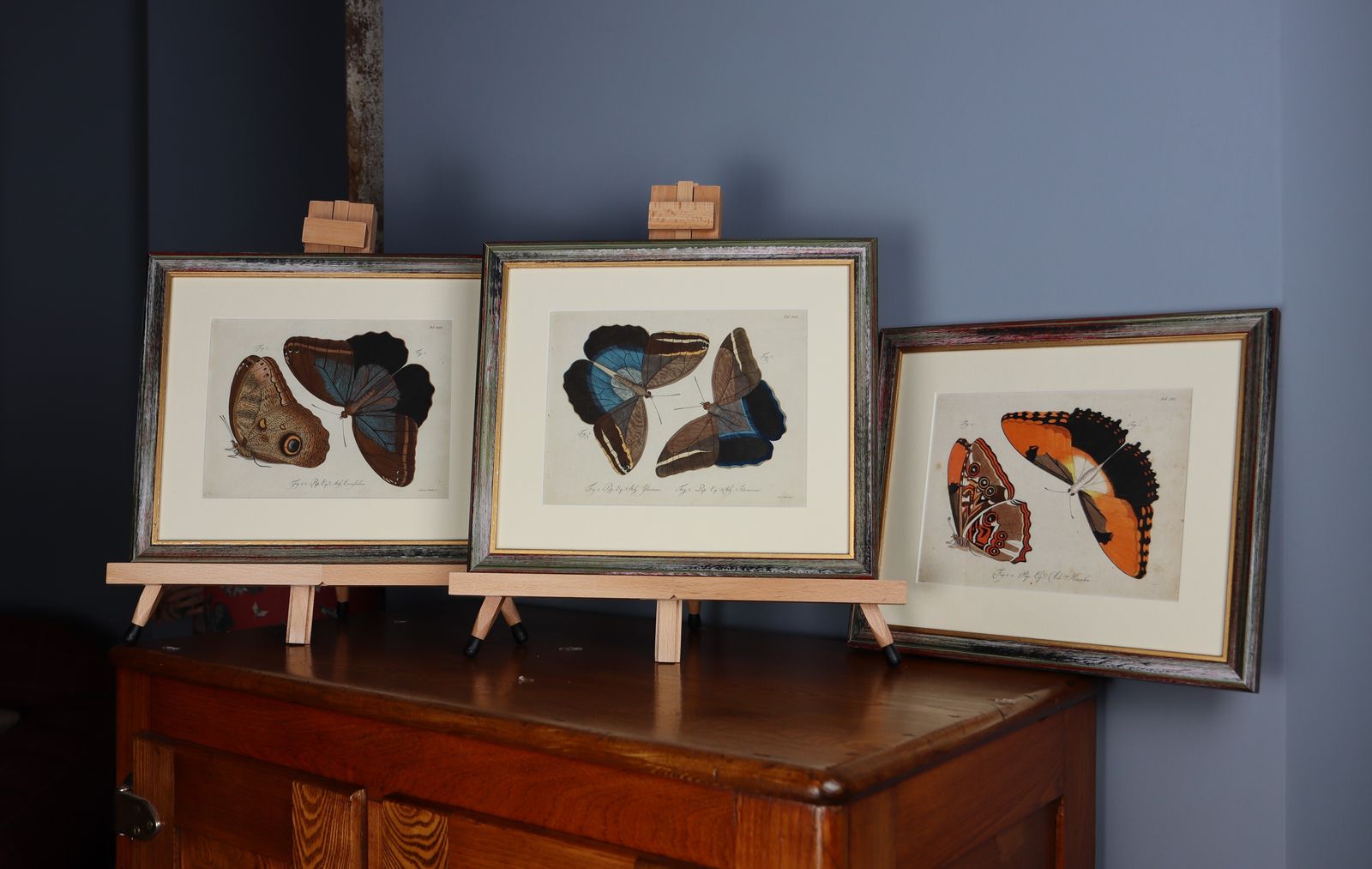 Set Of Three Exceptional Carl Gustav Jablonsky Coloured Butterfly Engravings