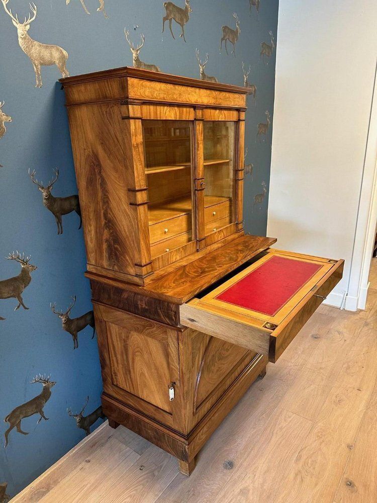 Vintage Cabinet In Mahogany, 1800s photo vintage