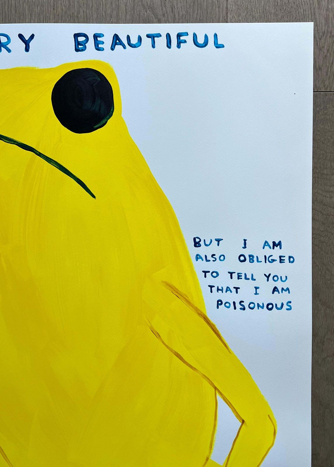 David Shrigley I Am Very Beautiful, But I Am Also Obliged To Tell You I Am Poisonous 2025 photo vinterior