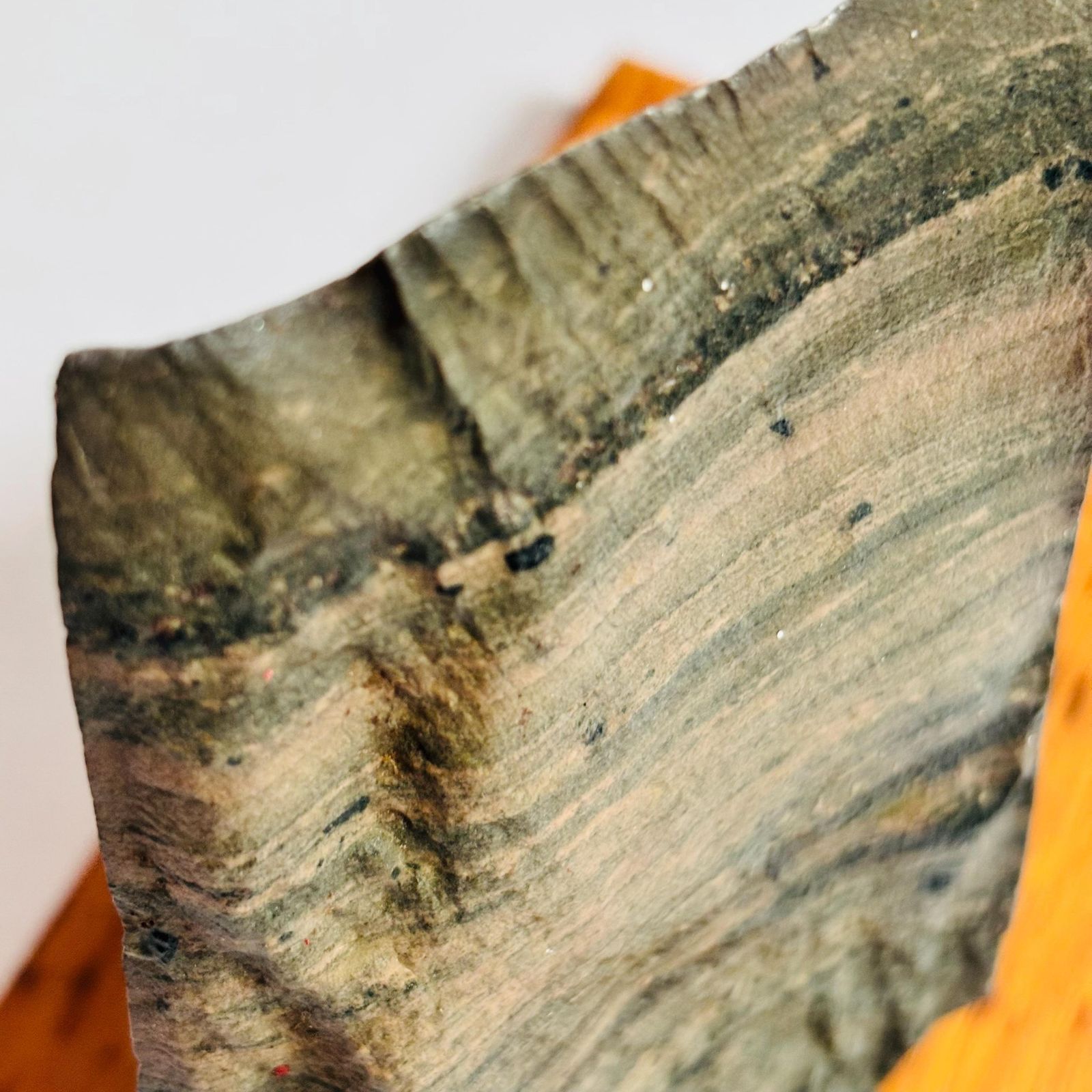 89.0 Antique Pre Cambrian Volcanic Rock Specimen: Charnian Group On Wooden Base C1950s photo