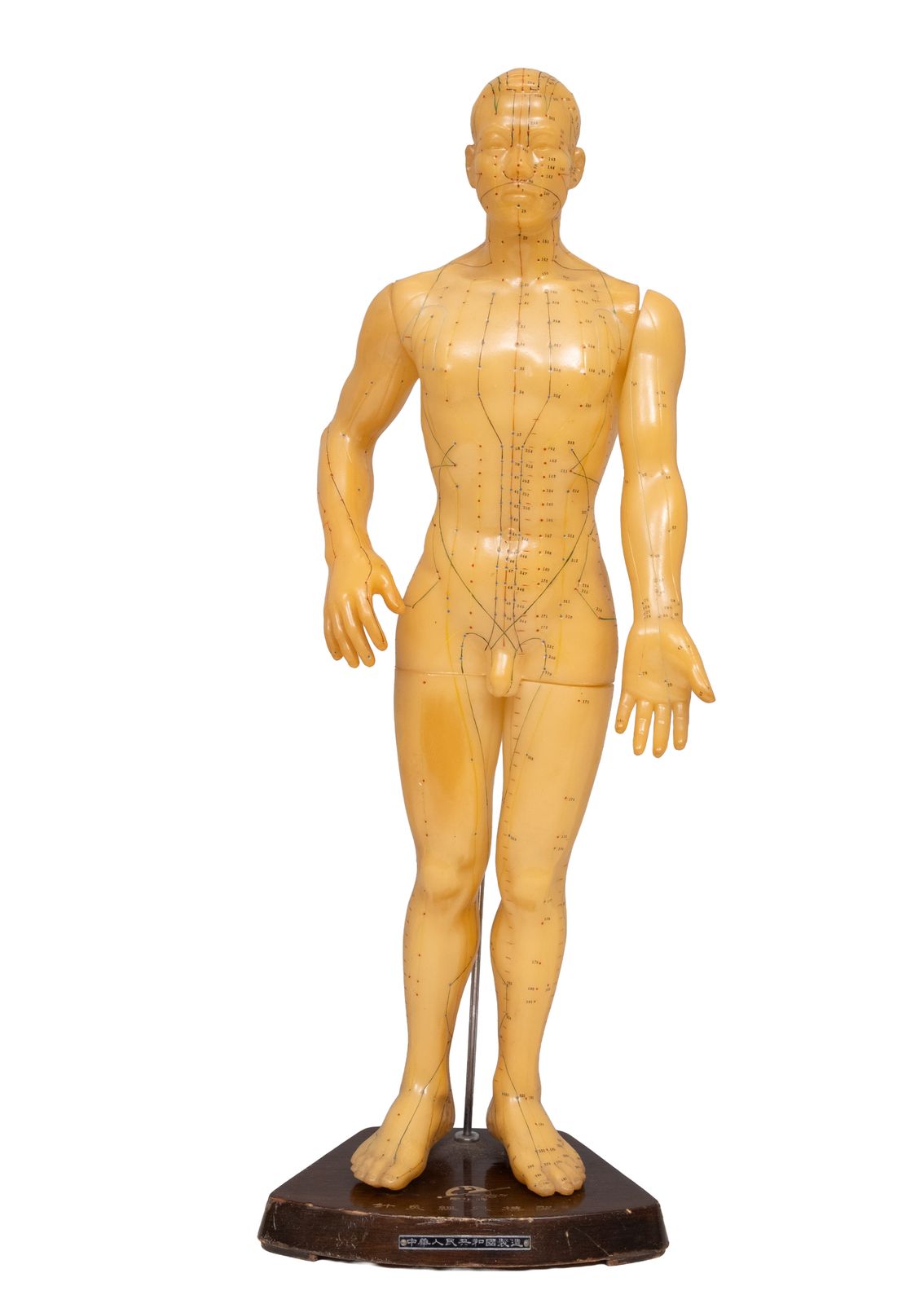 Acupunctuurmodel Van Het Menselijk Lichaam In Rubber, Jaren 1950, China