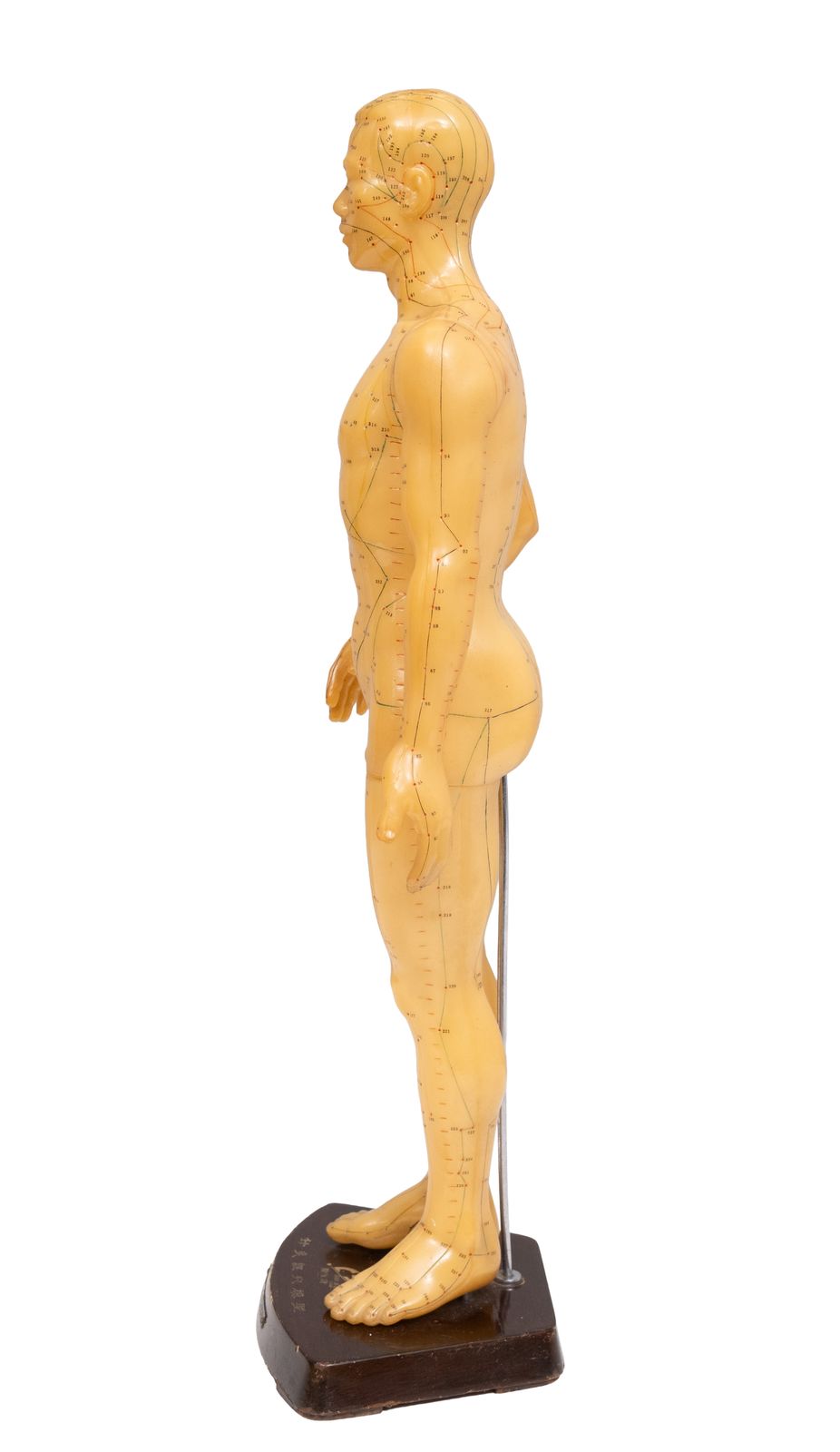 1950s Rubber Human Body For Acupuncture Model China photo vinterior