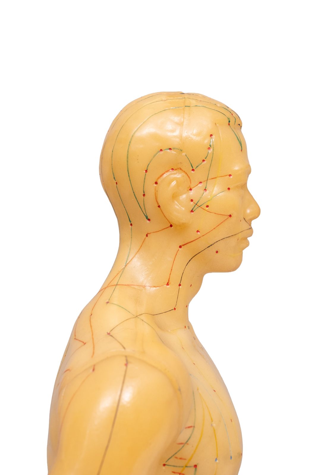 photo for sale 1950s Rubber Human Body For Acupuncture Model China