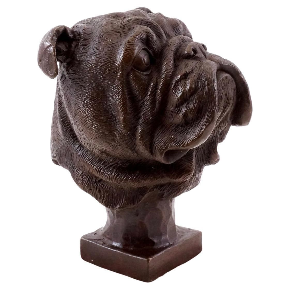 French Bulldog Head Sculpture Inspired In Bronze Patinated, 20th Century