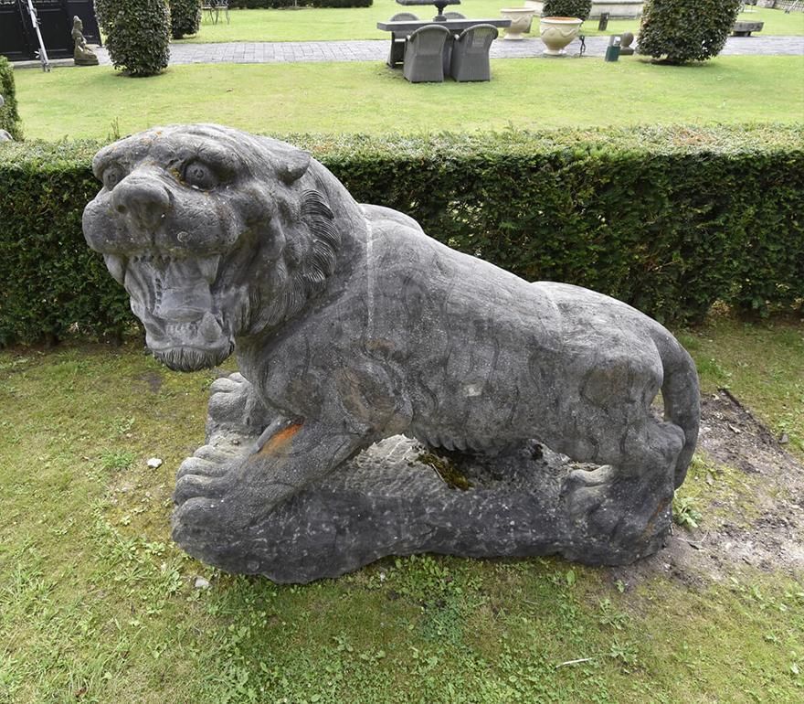 Large Saber Tiger Out Of Stone 20th Century photo buy