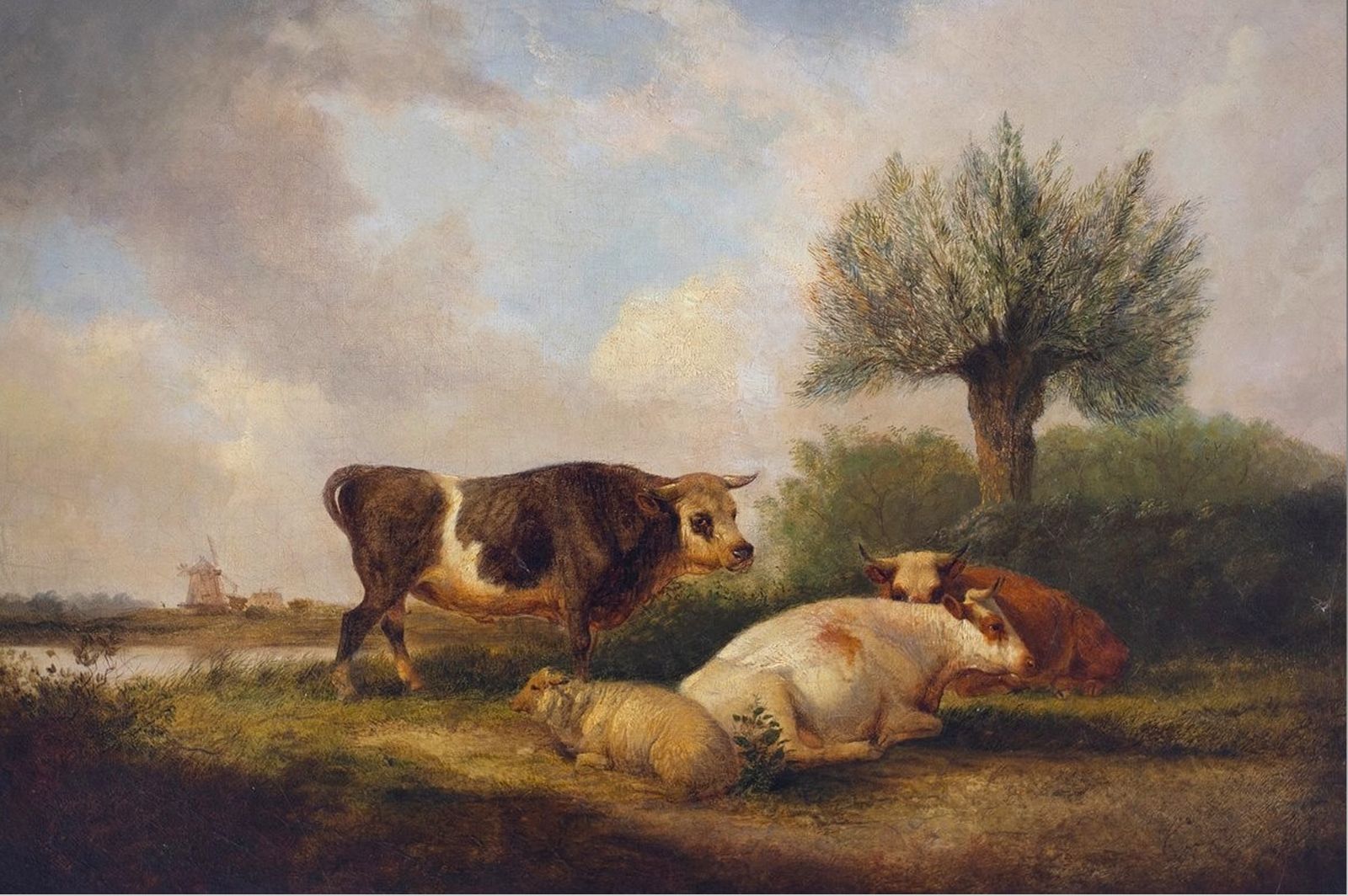 Antique  Oil Painting By William Shayer Snr (1788  1879) Recumbent Cattle 72cm photo furniture