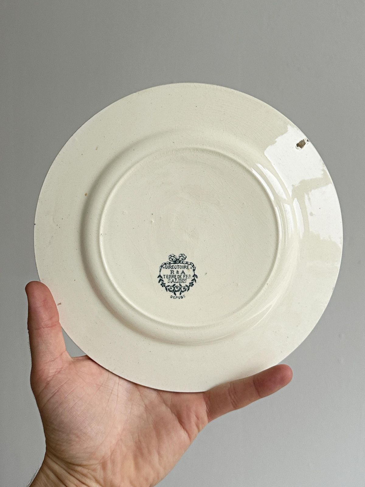 Set Of 6 Antique Ironstone Plates, Blue Decoration, Vintage French Service, Elegant Tableware, Antique Pieces, Gift Idea photo 98.0