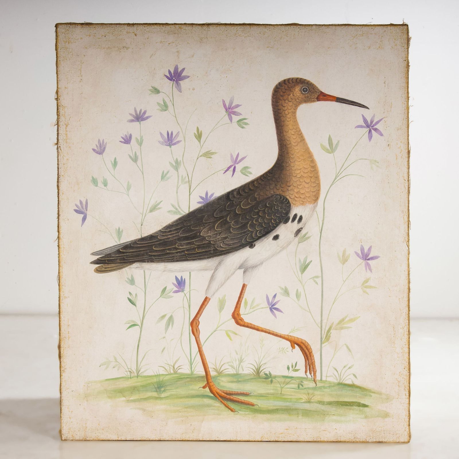 Big Birds photo furniture