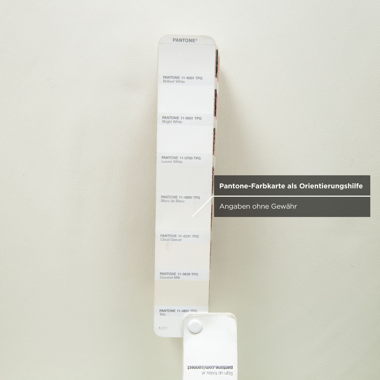 Fauteuil Rolf Benz 350 en cuir blanc crème photo buy