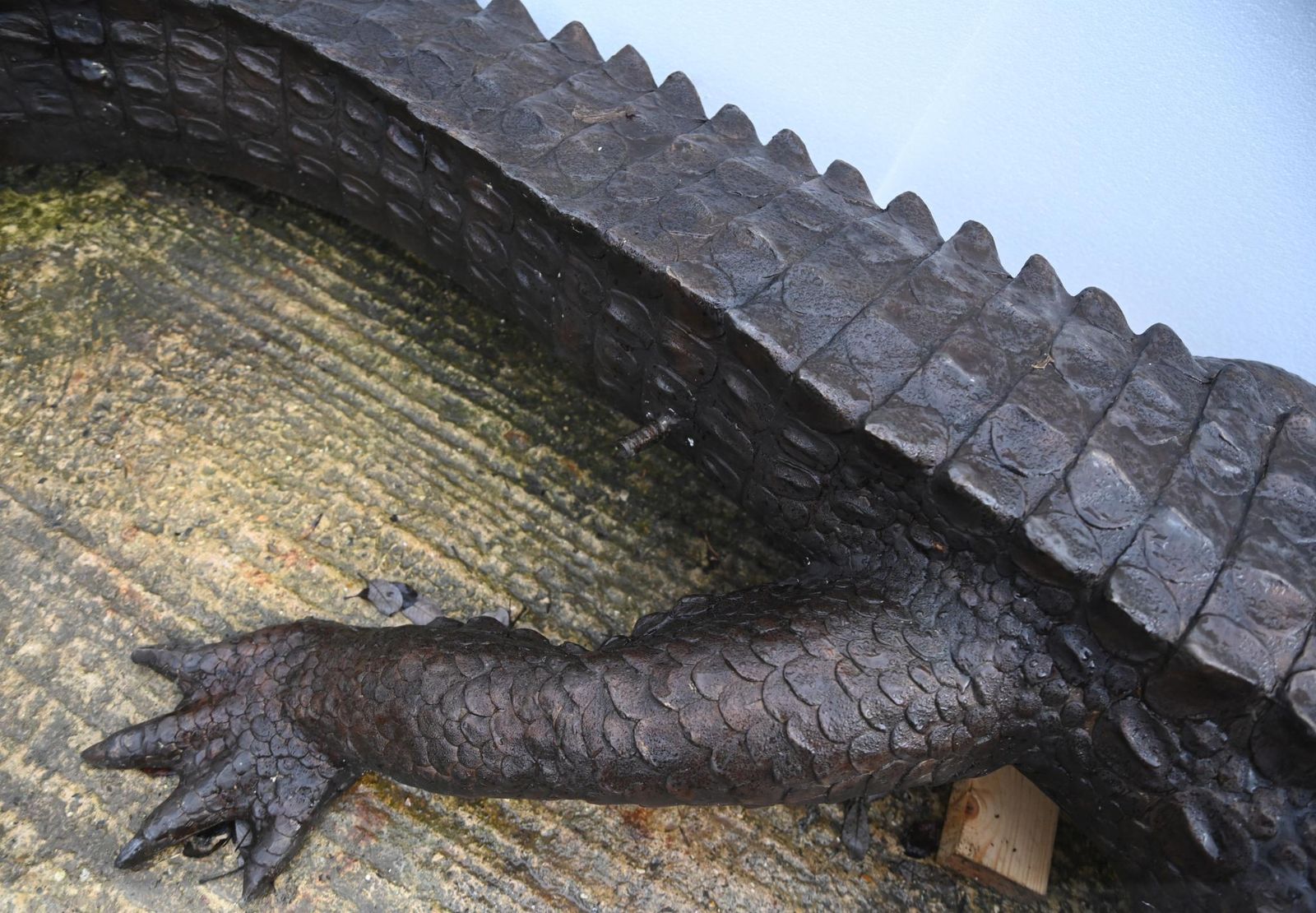 Xl Lifesize Alligator Fountain Bronze Crocodile 12 Ft 386 Cm photo for sale